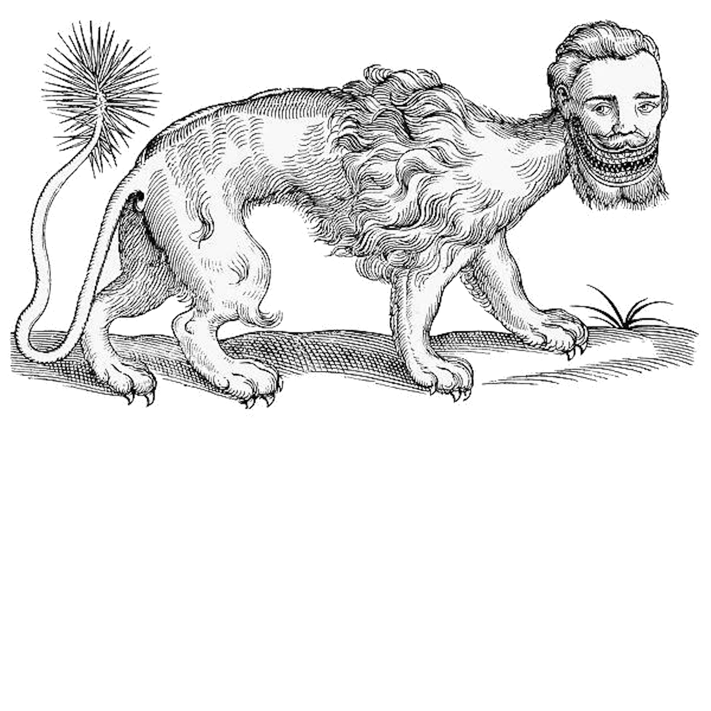 FCL094